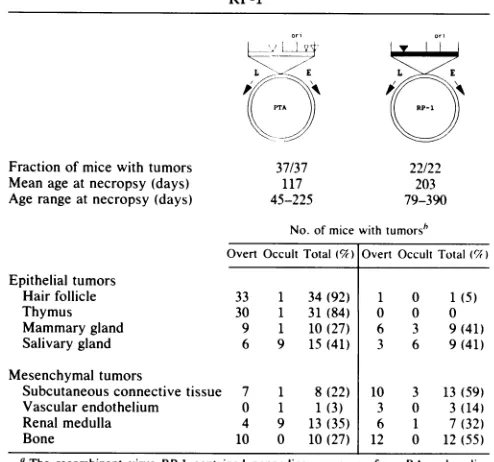 TABLE 2. Schematic diagrams and tumor profiles of PTA andRP-1"
