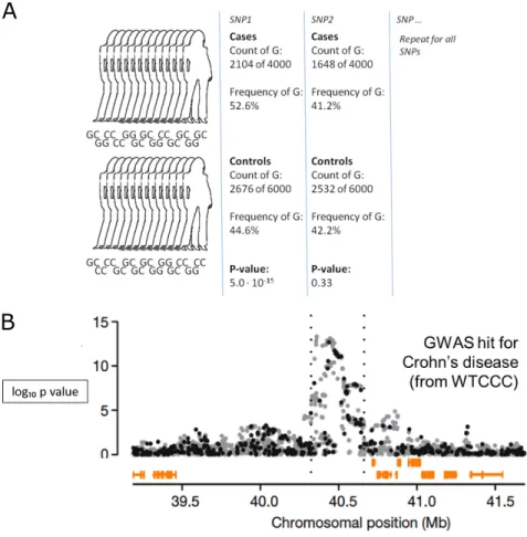 Figure 1: GWAS study outline and example hit. Source: Wellcome Trust Case Control Consortium (June 2007)