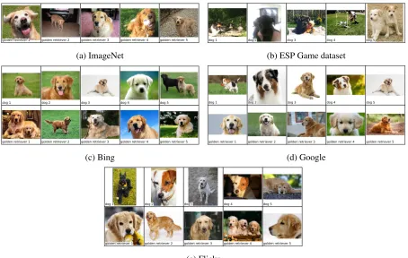 Figure 1: Example images for dog and golden retriever from the various data sources. ImageNet has noimages for dog, with images only at nodes lower in the hierarchy