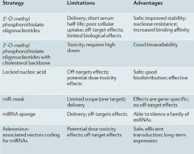 Table 1.2. Limitations and advantages of oligonucleotide based tools for microRNA regulation