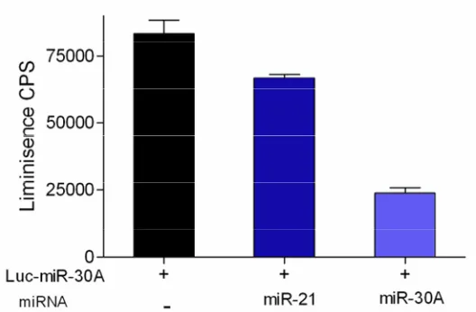 Figure 2.4. Determination of the specificity of the developed reporters for the specific target 
