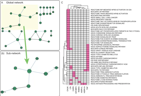 Figure 6. Gene network (HIPPIE) derived from DIAGRAM data analysis. (A) Global network from significant gene-sets (FDR < 0.25; gene score < 0.01).