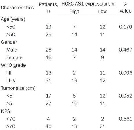 Figure 1. Quantitative real-time PCR analysis of HOXC-AS1. A. HOXC-AS1 ex-pression was significantly higher in the glioma tissues compared with that in the normal brain tissues
