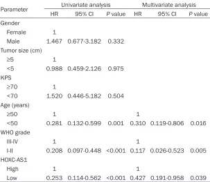 Figure 2. Kaplan-Meier curves for overall survival by HOXC-AS1 expression (A), WHO grade (B), age (C).