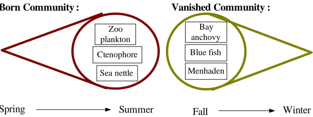 Figure 3.3: Example of a split community and a merged community in Food Web.