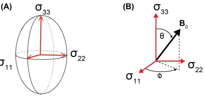 Figure 1.4: (A) Schematic representation of the MS tensor in its principal axis system (PAS) using an ellipsoid as a visual aid