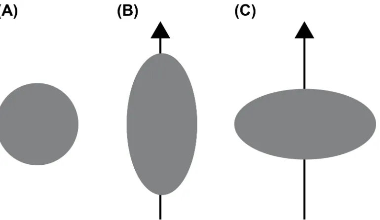 Figure 1.6: Schematic representation of the distribution of nuclear charge in a (A) spin-1/2 (Q = 0, spherical), (B) quadrupolar (Q > 0, prolate), and (C) quadrupolar (Q < 0, oblate) nuclides