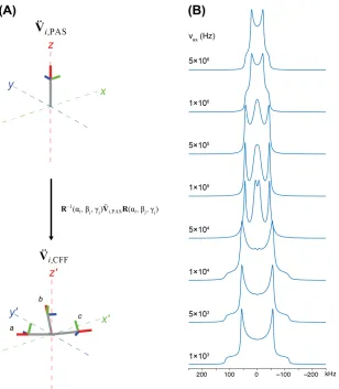 Figure 1.12: (A) A depiction of the rotation of a 2H EFG tensor in its principal axis system (PAS) into the three sites of a CD3 group in the crystallite-fixed frame (CFF)