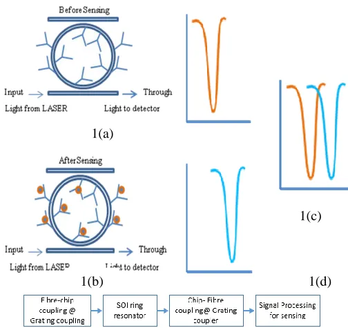 Fig. 2. Evanescent wave based sensing principle using SOI optical micro ring resonator