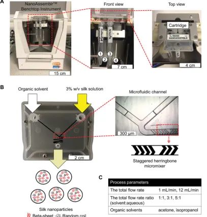 Fig. 1Schematic of silk nanoparticles manufacture using a micronanoparticles and waste, respectively