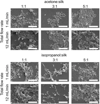 Fig. 7In vitroand 215 nm silk nanoparticles and compared to release by untreated control cells (basal TNF-evaluate statistical di cytotoxicity and TNF-a release from macrophages (RAW 264.7 cells) in response to treatment with silk nanoparticles