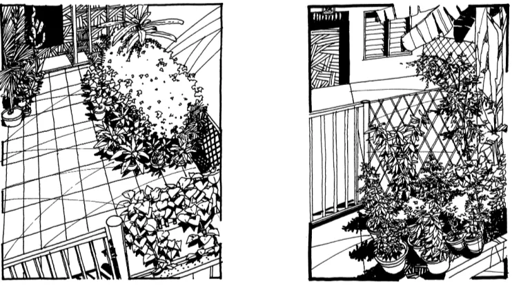 Figure 5A composition of thulasi, nochi, banana trees, moringa and jasmine in a terrace housegarden discretely signify an Indian house