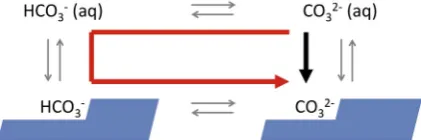 Fig. 4. Chemical equilibria for carbonate and bicarbonate ions insolution and on calcite surfaces
