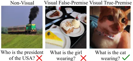 Figure 1: Example irrelevant (non-visual, false-premise)  and relevant (visual true-premise) questions in VQA.