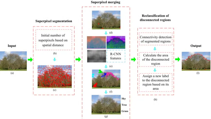 FIGURE 1. Overview of our proposed algorithm. (a) Input image. (b) Initial number of superpixels based on spatial distance