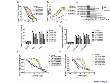 Fig. 3.Cellular responses mediated byT4L-fused CCR5 chemokine receptor.  membranes from HEK 293T cells transfected with vector, wt-CCR5, or different T4L-CCR5 variants