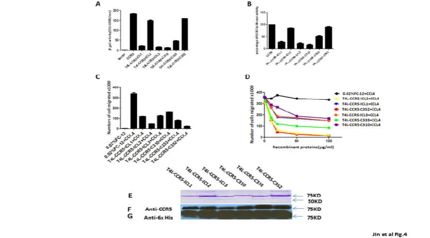 Fig. 4  of 2× sample buffer and incubating at 30°C for 15 minutes prior to loading on a 10% SDS-PAGE gel