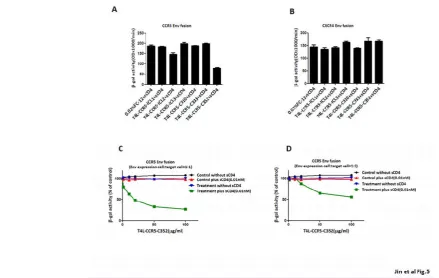 Fig. 5.Purified recombinant T4L-CCR5-C352 exhibits a competitive blocking effect in R5 Env-mediated cell-cell fusion