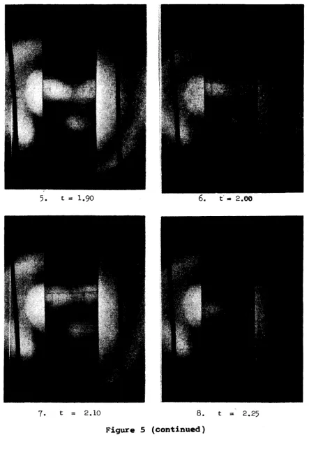 Figure 5 (continued)