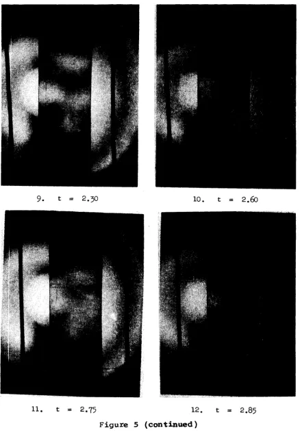 Figure 5 (continued)