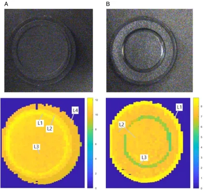 Figure 8: Real image (top) and obtained 2D levelness maps (bottom) from the surface of two samples (cap A and cap B)