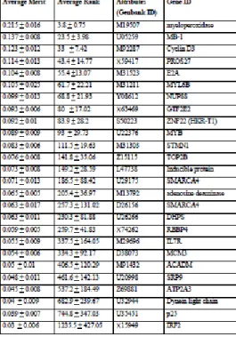 Table 5 The average Merit, Average Rank and Genbank ID of genes associated with  acute lymphoblastic leukemia (ALL)