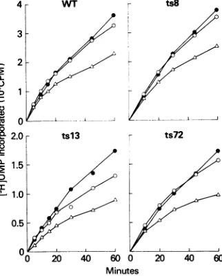 TABLE 2. Enzyme activities solubilized from mutant and wild-type virions