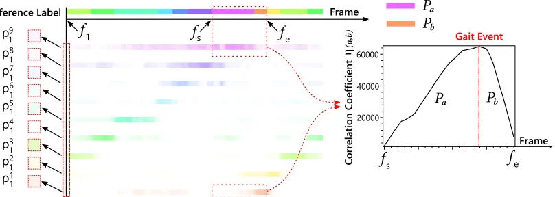 Fig. 8: Class probability representation in a complete gait cycle and correlation coefﬁcient for adjacent gait phase periods