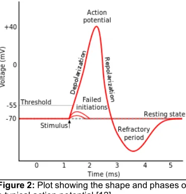 Figure  2:  Plot  showing  the  shape  and  phases  of  
