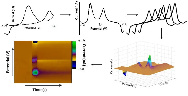 Figure  4:  Generation  of  a  three-­dimensional  colour  plot  