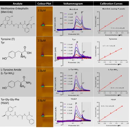 Figure  10:  Chart  of  investigated  natural  amino  acid,  functionalized  amino  acid  and  truncated  peptide  with  corresponding  colour  plots,  voltammogram  and  calibration  curves  for  review  of  the  contribution  of  Tyr  to  the  signal  of  Met-­Enk  