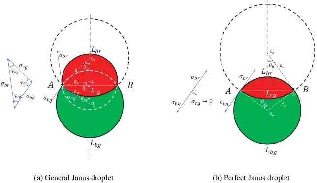 Figure 7: Equilibrium geometry and force balance at a three-phase junction for (a) a general Janus droplet(GJD) and (b) a perfect Janus droplet (PJD).