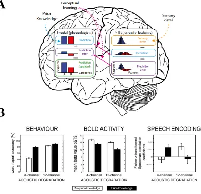 Figure 2.7: Predictive coding account for the speech processing network. (A) The graph depicts a model of the speech comprehension cortical network in the context of phonological perception (Sohoglu and Davis, 2016)