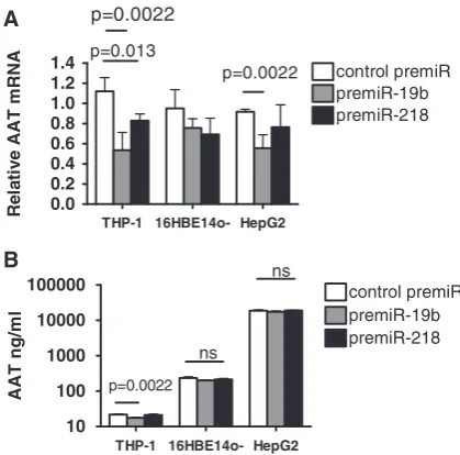 Figure 7. The effects of pre-miR-19b and pre-miR-218 overexpression16HBE14owith 30 nM negative control pre-miR (control pre-miR) or syntheticpre-miRs as indicated