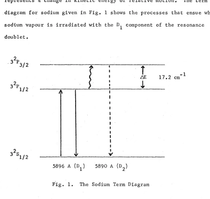 Fig. 1. The Sodium Term Diagram