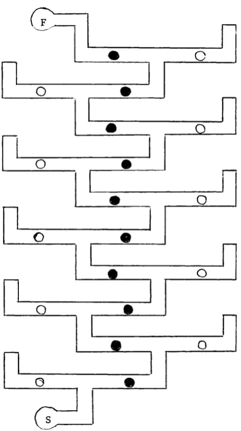 Figure 4. Schematic representation of the 