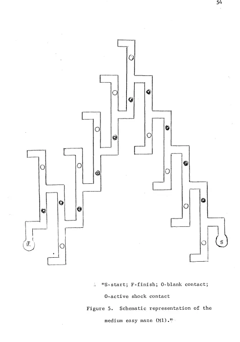 Figure 5. Schematic representation of the 