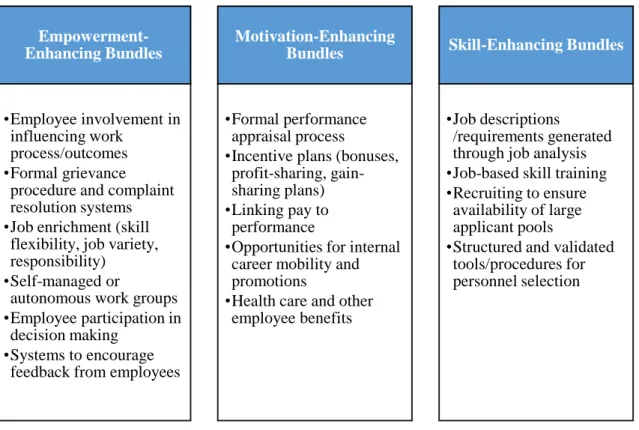 Figure 3: The content of HRM bundles (Subramony 2009, p. 746) 