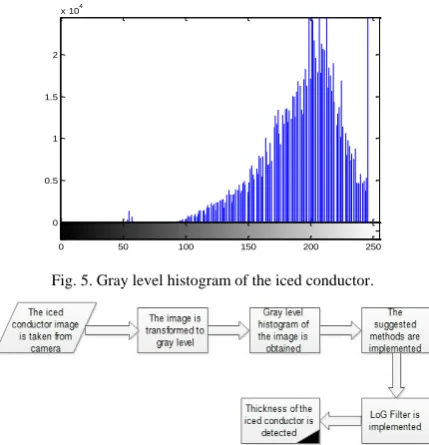 Fig. 5. Gray level histogram of the iced conductor. 