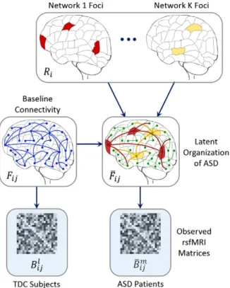 Fig. 3. Abnormal regions inferred by our Bayesian model for K = 1 using the ABIDE dataset