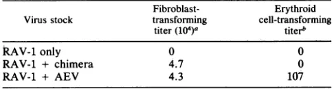 TABLE 3. Erythroid cell transformation by the chimera