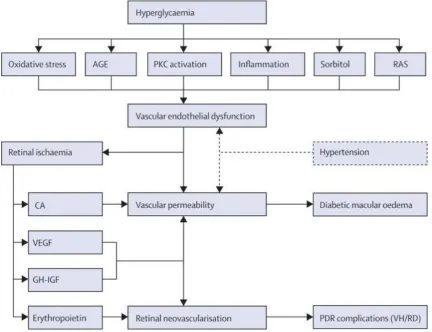 Figure 2-1: Diagrammatic representation of pathophysiology of diabetic retinopathy. Hyperglycaemia instigates a cascade of events leading to retinal vascular endothelial dysfunction