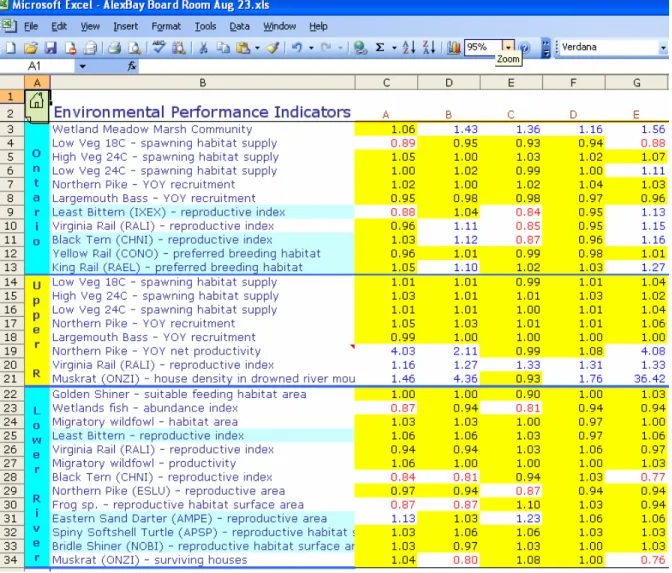 Figure 2.1:  Excel Table of Environmental Scores 