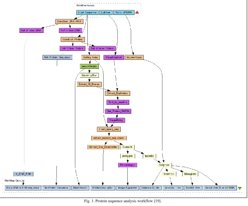 Fig. 1. Protein sequence analysis workflow [19].   