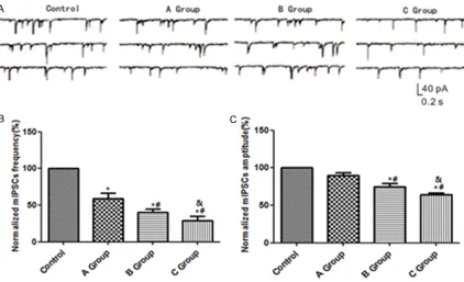 Figure 1. Changes in mIPSCs in GABAergic amacrine cells in rats with DR. A: Levels of mIPSCs measured by patch clamp technique in different groups; B: Histogram of mIPSCs frequencies in different groups; C: Histogram of cur-rent amplitudes of mIPSCS in dif