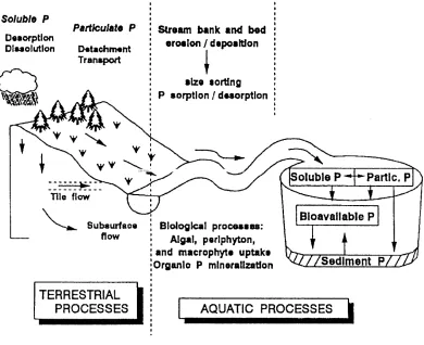 Figure 1.1:  Pathways for the transfer of P from terrestrial to aquatic ecosystems  (Tiessen,1995)
