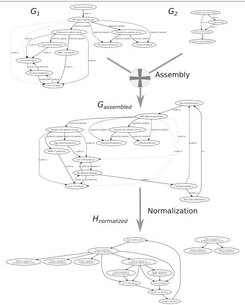 Fig. 5 Schematic representation of the three-step pipeline for the hypothesis graphprojection rules to transform each ontology H creation from the two input ontologies O1, O2: i) use graph Oi into its graph representation, ii) assemble the hypothesis graph H from two ontology graphs bymerging concepts for which we have ontology mappings mi, and finally iii) normalize the hypothesis graph H by extracting only the relevantinformation of causality relationships among the occurrents
