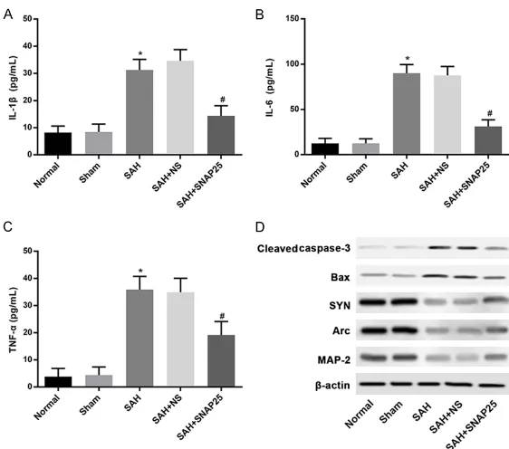 Figure 4. SNAP25 injection attenuated the upregulation of pro-inflammato-ry factors and apoptosis-related genes, promoted the expression of synap-tic plasticity-associated protein in rats after SAH