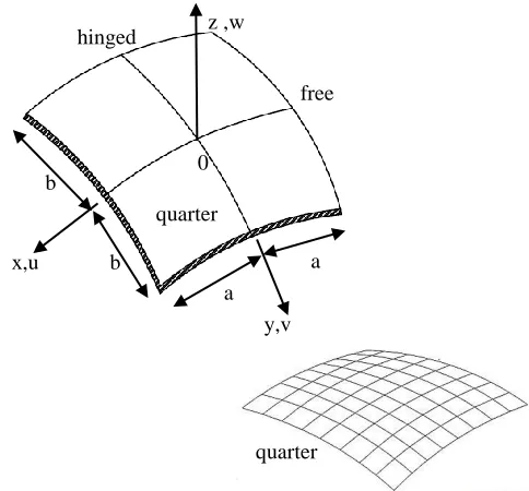 Fig. 4. Geometry and finite element mesh of the shell 