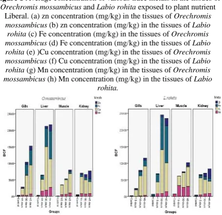 Figure 1Figure 1Figure 1 Average concentration of various trace metals in the tissues ofOrechromis mossambicus Average concentration of various trace metals in the tissues ofOrechromis mossambicus Average concentration of various trace metals in the tissues ofOrechromis mossambicus and and and Labio rohita Labio rohita Labio rohita exposed to plant nutrient exposed to plant nutrient exposed to plant nutrient